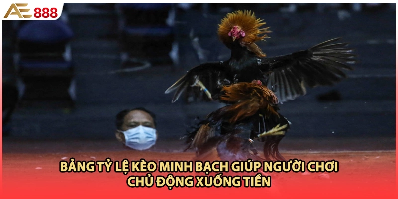 Bảng tỷ lệ kèo minh bạch giúp người chơi chủ động xuống tiền